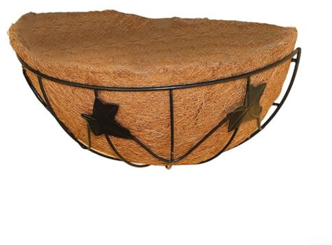 Tenture murale pour jardin d'intérieur Design unique pour pothos et herbes