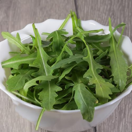 rucola samen winterhart - rucola pflanzen samen, geschenke für gartenfreunde, gemüsesamen winterhart rucolasamen bio mehrjährig, saatgut gemüse, seltene pflanzen gewächshaus balkon, 200pcs