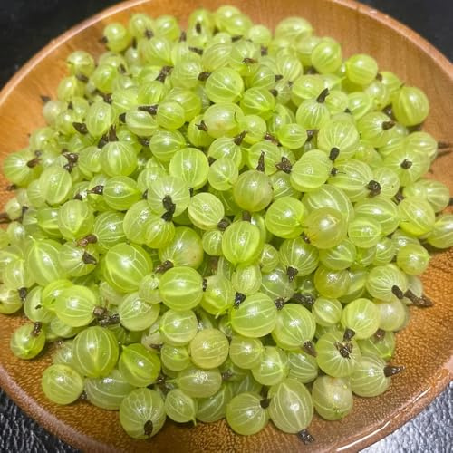 semillas de grosella, grosella espinosa, balcón jardín rocas jardín columnar huerta comprar invernaderos balcón 150pcs