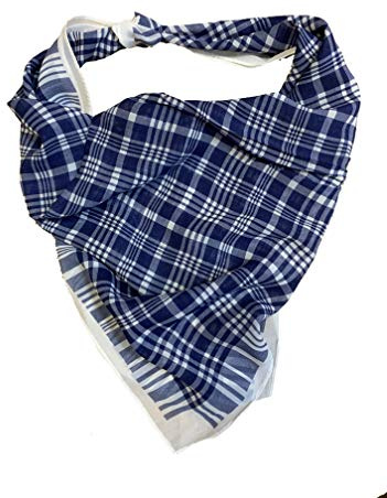 PAÑUELO DE CUADROS AZUL Y BLANCO (1)