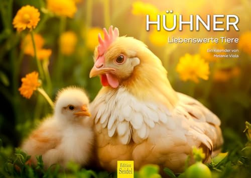Edition Seidel Calendario premium 2026 de gallinas, formato DIN A4, calendario de pared, calendario de animales, animales adorables, pájaros, pollo, gallo, pollo, pollo, melanie viola