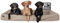 SABRO KUDDE Orthopädisches Hundebett – Martin Rütter – Hochwertiges Kunstleder – Waschbar & Wasserabweisend – Ergonomisch – Premium Haustierzubehör für Grosse Hunde XXL in Beige
