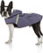 Bella & Balu Hunderegenmantel - Wasserdichter Hundemantel mit Kapuze und Reflektoren für trockene, sichere Gassigänge, den Hundespielplatz und den Urlaub mit Hund (S - Grau)