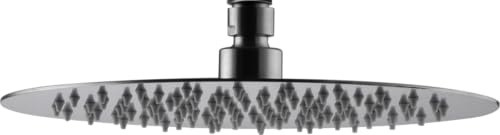 IMEX Regnduschspray Ø25 cm borstad nickel, extra platt och antikalk, rund duschspray för duschspindel, tillverkad av rostfritt stål S.304, originalreservdel IMEX