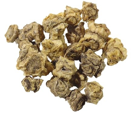 Betterave Fourragère Rossa Mammouth NT - Beta Vulgaris - SEM27 (40 grammes)