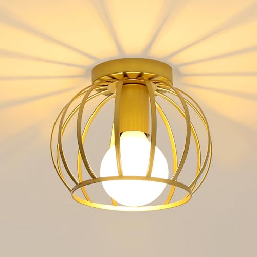 Pheashine Deckenleuchte Gold, Industrial Deckenlampe Metall in Käfigförmige, E27 Runde Lampenschirm Hängelampe für Flur, Eingangsbereich, Treppenhaus, Balkon, Ø 20cm