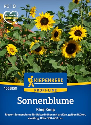 Kiepenkerl Profi-Line Sonnenblumensamen King Kong 1065950 - Riesen-Sonnenblumen für Rekordhöhen - circa 300-400cm - Wildblumensamen, Blumenwiese, Saatgut