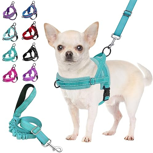 SlowTon Harnais anti-traction réglable, réfléchissant, sécurité anti-étouffement, pour chiens de petite et moyenne taille et chiots