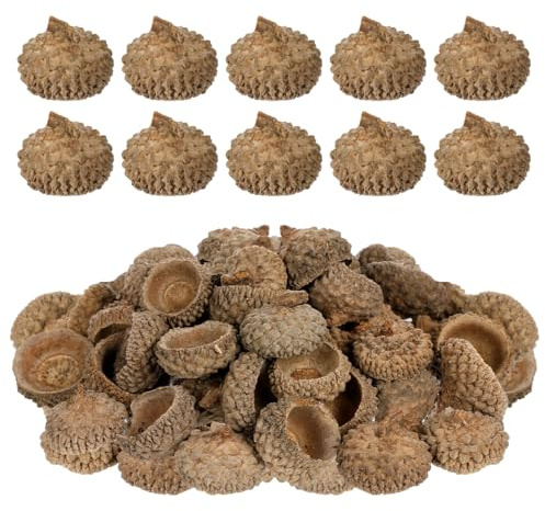 Toyvian 50 Piezas Bellota Natural Cáscaras para Decoración Árbol Navidad Flores Secas Manualidades DIY Relleno Rústico Jarrones Accesorios Boda Fiesta Otoñal Colgante