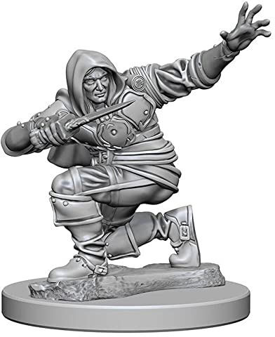 Pathfinder Deep Cuts Unpainted Miniatures: Wave 1: Human Male Rogue