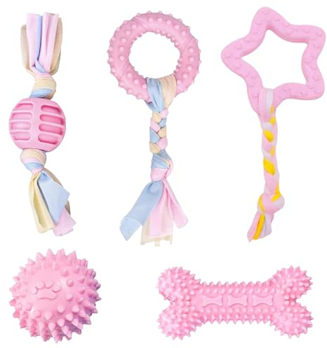 Ajuanbazha 5 Stück Hundespielzeug Set, Kauspielzeug für Welpen und Kleine Hunde mit Ball und Baumwollseilen, Interaktives Spielzeug zur Zahnpflege und Stressabbau