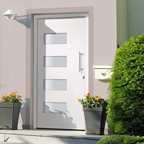 vidaXL Eingangstür Haustür Wohnungstür Nebeneingangstür Außentür Kellertür Tür Mehrzwecktür Schlüsselsatz Alu Aluminium PVC Weiß 100x200cm
