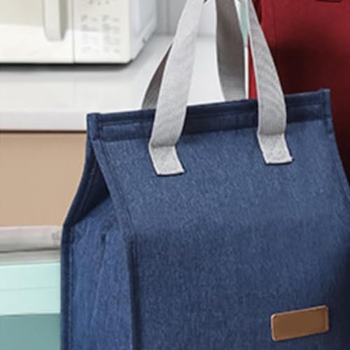 Haofy Borsa Termica per Contenitore per Pranzo Al Sacco Isolata di Grande capacità per Viaggi di Picnic in Ufficio da Lavoro