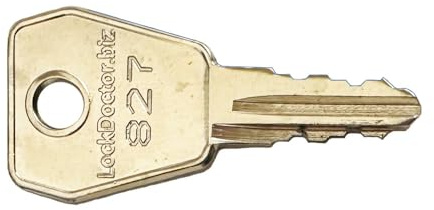 Replacement DEWHURST 827 Key for Electrical Switches | Lifts & Elevators, Forklifts, Directional Switches, Switchgear & Plant Equipment, Fire Alarm Control Panels & More | Eurolocks, EMKA & BKG