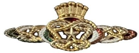 Distintivo d'Onore Personale in Congedo Forze Armate MISURA EXTRA LARGE CM 8 X3 Fregio da Giacca per Congedati con Scatola Elegante 80x29 mm (1)