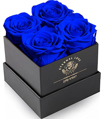 Impouo Rosenbox,Infinity Rosen,Konservierte Rose, Ewige Rose,Geburtstagsgeschenke FüR Frauen, Geschenke FüR Mutter/Freundin/Ehefrau/Oma, Geburtstag, Valentinstag,Ewige Blume,Blaue Rosen