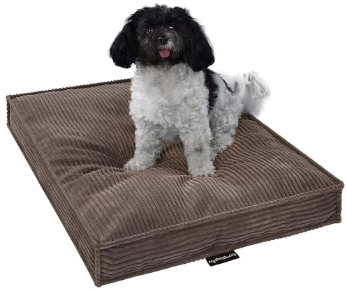 MyBestBuddy Hundkudde velour 70 x 50 cm, brun, fyllning av viskos- och komfortskum, tvättbar i 40 °C, med fluffigt överdrag – hundmatta eller hundbädd för små hundar, M 70 x 50 cm