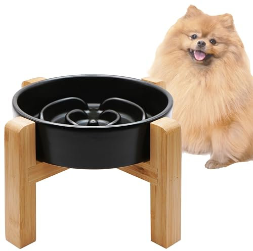 MOPANG Erhöhte Keramik-Slow-Feeder-Hundenäpfe für Kleine Rassen, Antischlingnapf für Katze und Kleine Hunde, Langsame Fütterung für Hunde Klein, Ø 16cm, 400ml, Dunkelgrau