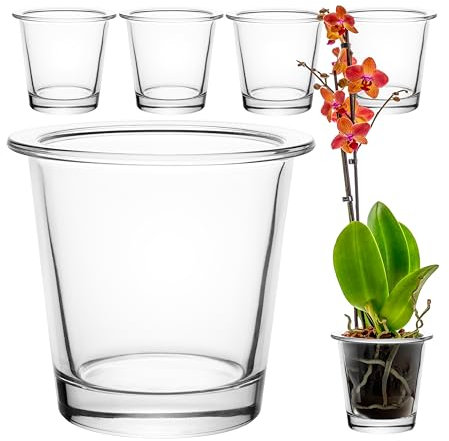GIESSLE® 6 Stück Orchideentopf [ aus Glas ] Blumentopf Orchideenvase Orchideenglas Übertopf für Orchideen transparent