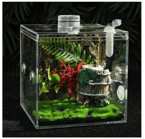 Terrarium Snail Tank Jumping Spider Enclosure Habitat Insects Mantis Faunarium Reptile Tank For Insect
