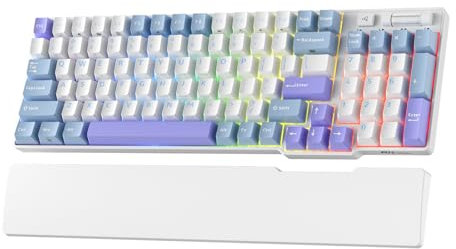 RK ROYAL KLUDGE RK96 RGB Limited Ed, 90% 96 Tasten Kabellose Tri-Modus BT5.0/2.4G/USB-C Hot-Swap-fähige Mechanische Tastatur mit Handballenauflage, Software-Unterstützung, Taktile Schalter, QWERTY