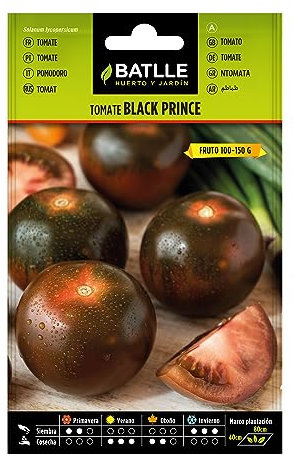 Semillas Batlle Tomate Black Prince