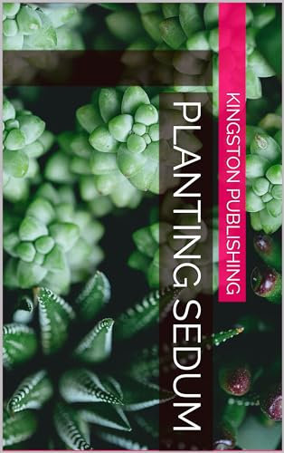 Planting Sedum (Succulents)