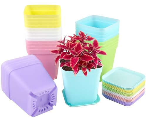 24 Piezas Mini Macetas Pequeñas Plastico, 7 x7 x 8 cm Macetas de Colores Cuadradas, Tiestos para Plantas Exterior Interior con Bandeja, Maceteros Pequeños para Floración, Suculentas, Vivero Decoración
