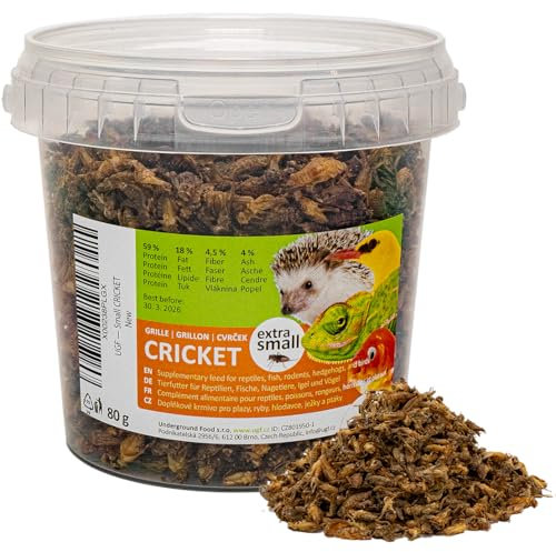 UGF - Getrocknete Kleine Grille 500ml Eimer (80g), Grillen Insekten, Vogelfutter Wildvögel Ganzjährig, Schildkröten Futter, Igelfutter, Eidechsenfutter, Fischfutter