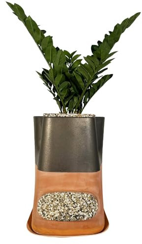 Moutta｜Transfarmers Pot de Fleurs et lombricomposteur en Terre-Cuite Métal Choco 17L｜Transformez Vos déchets et nourissez Vos Plantes