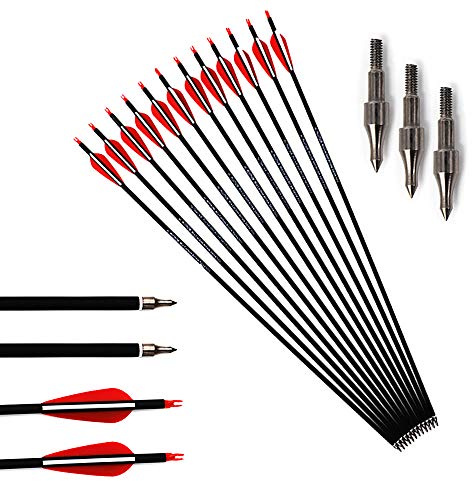500 Spine Flèches 30 Flèches pour Arcs à Poulies Diamètre Intérieur 6.2mm 30 pouces Flèche de Carbone Pointe en Acier 20/25/30/35/40/65 livres Arc Recurve Tir à l'arc Chasse Tir Cible d'entrainement