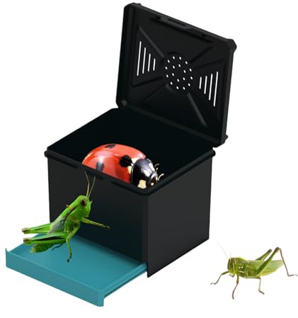 Dopsyesn Terrario para Lagartos,Hábitat de Alimentación para Mantis | Hábitat Ventilado con Protección Lumínica para Grillos Mantis Escorpiones Cucarachas Insectos Y Hormigas Interior Y Exterior
