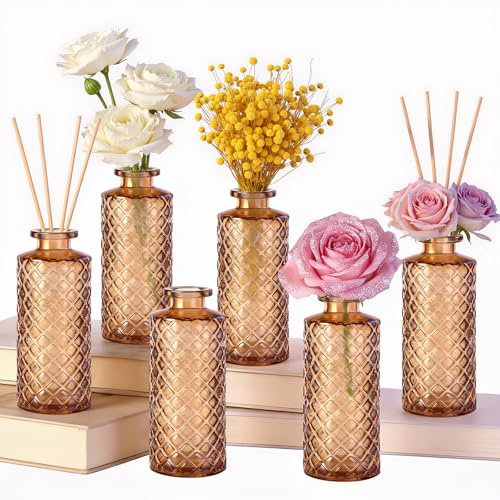 6 Piezas Jarrones Decorativos, Jarrones de Cristal en Colores Ambe, Set de Mini Jarrones para Flores de 13 x 5 x 5 cm, Jarrón Cristal para Centros de Mesa y Decoración de Boda