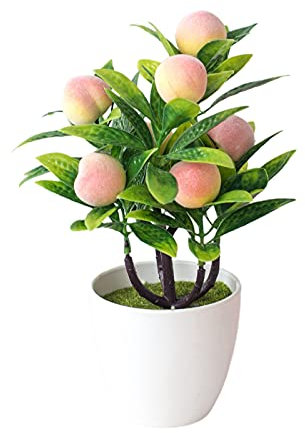 Timpfee Fake Fruit Bonsai|Citrus Plant| Fruit Tree | houseplant | Height 24cm/9in | Pot 8 cm | Living Room Ready Potted Citrus Plant, 2Pcs