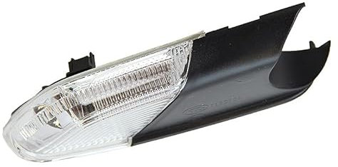 1x Blinker Blinkleuchte Blinkerleuchte Blinklicht für Außenspiegel rechts