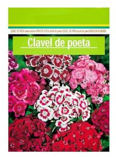 Semillas de Clavel Ramillete del Poeta DECOALIVE Sobre Semillas Dianthus Barbatus