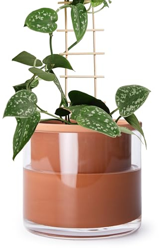 Phoenix Vine 51-A-F-1 Pot de Fleurs en Terre Cuite à arrosage Automatique pour intérieur avec Vase en Verre 15,2 cm