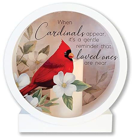 Carson Caja de sombra de linterna conmemorativa con vela LED sin llama, regalo de condolencias para funeral por la pérdida de un ser querido, linterna de recuerdo para decoración del hogar (apariencia