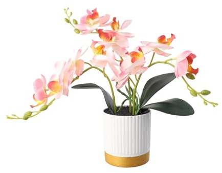 Artificial Phalaenopsis Orchid Bonsai in White Gold-Rimmed Pot, 13 Inch Fake Flower Plant with Simulated Soil for Home Office Desk Shelf Decor