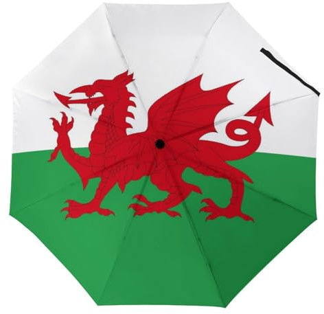 Flag of Wales 3 Fold Umbrella Portable For UV Rain Windproof Folding Umbrellas Funny Umbrella Automatic
