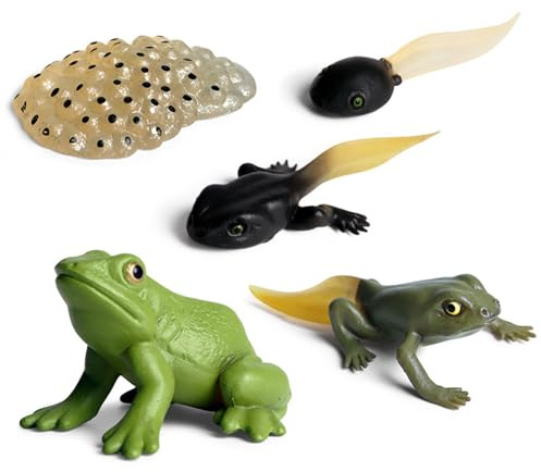 Generisch Insectt Toys Modelo de acción de ciclo de vida, juego de figuras de ciclo de vida con 5 etapas de la vida, modelo de figuras de etapa de la vida para juguetes educativos y educativos