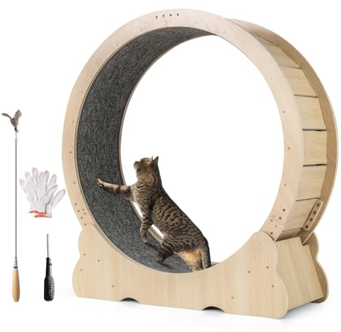 GOPLUS Rueda de Ejercicio para Gatos, Gran Gimnasio de Madera con Mecanismo Bloqueable, Almohadillas Antideslizantes, Juguete Estimulante para Gatos, Rueda de Entrenamiento Silenciosa en Interiores