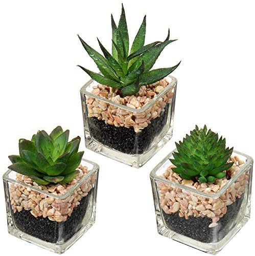 Briful Artificial Succulents Fake Succulent Plants Potted in Mini Square Clear Glass Pots Set of 3 Faux Succulents Small Artificial Succulent Plants Great for Office Home Decor