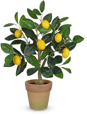 Konstgjord växtdekoration citronträd, 50 cm plastväxt i lerkruka, konstgjorda växter som äkta, inomhusväxter konstgjorda med citronkvist och citronfrukter för heminredning vardagsrum kök kontor