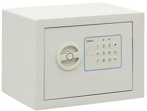 ARREGUI Blue 650100B Cassaforte Elettronica da Armadio in Acciaio | 17x23x17 cm | 5 L | Cassetta di Sicurezza per Casa e Ufficio | Tastiera con Codici Programmabili | con Chiave di Emergenza | Bianco