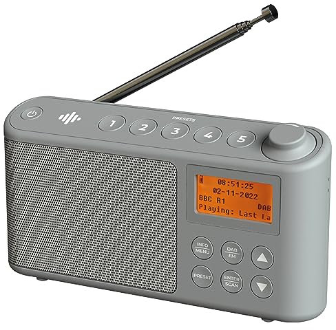 DAB Radio Portable, DAB Plus/DAB Radio, FM Radio, Small Radio, Portable Radios Mains and Battery, USB Charging for 15 Hours Playback, Large LCD Display (Spectrum by iBox)