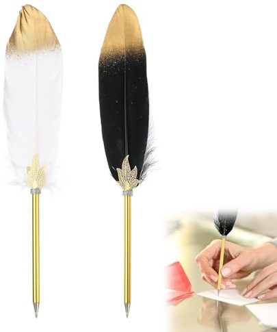 Rakiuty Penne Retrò,Penne A Sfera Retrò,Penne Per Stili Creativi,Calligrafia Stilografica,Penna a Sfera in Piuma,Penne a Sfera con Piume,Penna Piuma D'oca Set,Cute Feather Pen (Nero+Bianco)