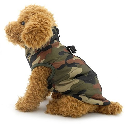Smalllee _ Lucky _ Store, cablaggio del cane gatto gilet, Boy Girl Pet abbigliamento invernale imbottita