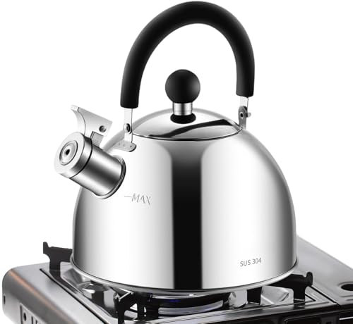 Bollitore in acciaio inox, bollitore ad acqua calda, 3 l, con manico ergonomico per stufe e cucina