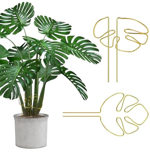GIUSOBG Tuteurs pour Plantes, 2 Pièces Tuteur Plante Interieur, 28 cm Support Plante en Acier Inoxydable, Anneaux de Support pour Plante Monstera (Doré)